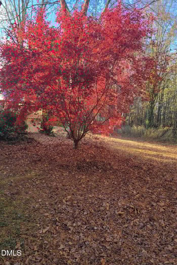 2020 Spring Valley Dr, Clayton, NC 27520