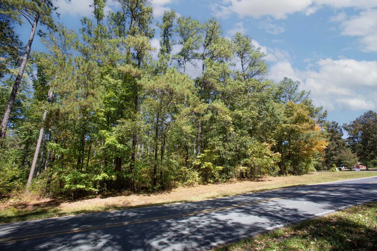 Lot 1 Walter Bright Road, Sanford NC 27330