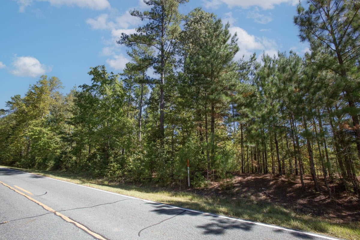 Lot 2 Walter Bright Road, Sanford NC 27330