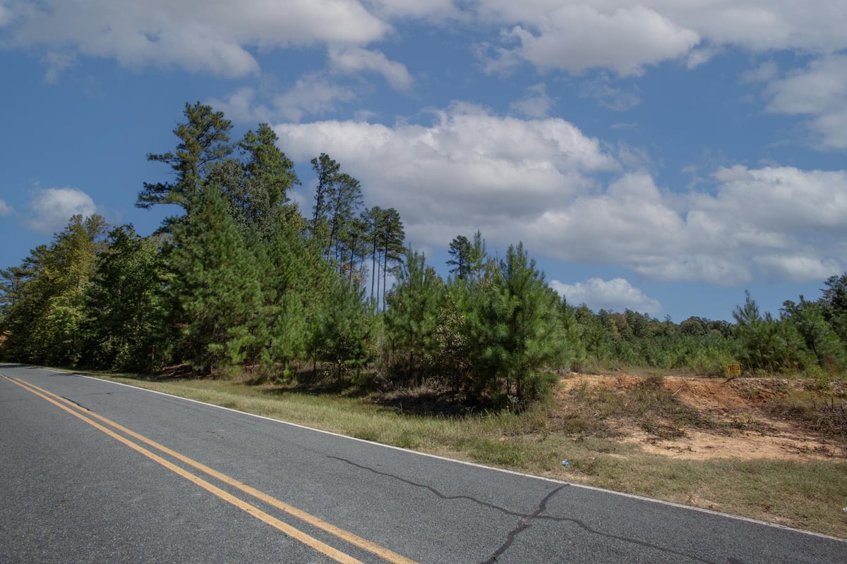 Lot 2 Walter Bright Road, Sanford NC 27330