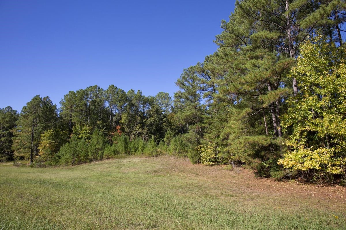 Lot 3 Us 15 501 Highway, Sanford NC 27330