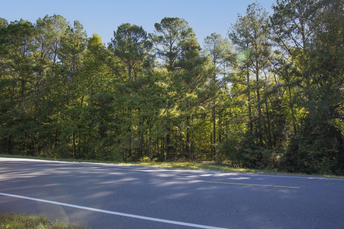 Lot 4 Us 501 Highway, Sanford NC 27330