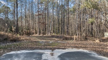 43.76 Acre Huntsburg Drive, Louisburg NC 27549