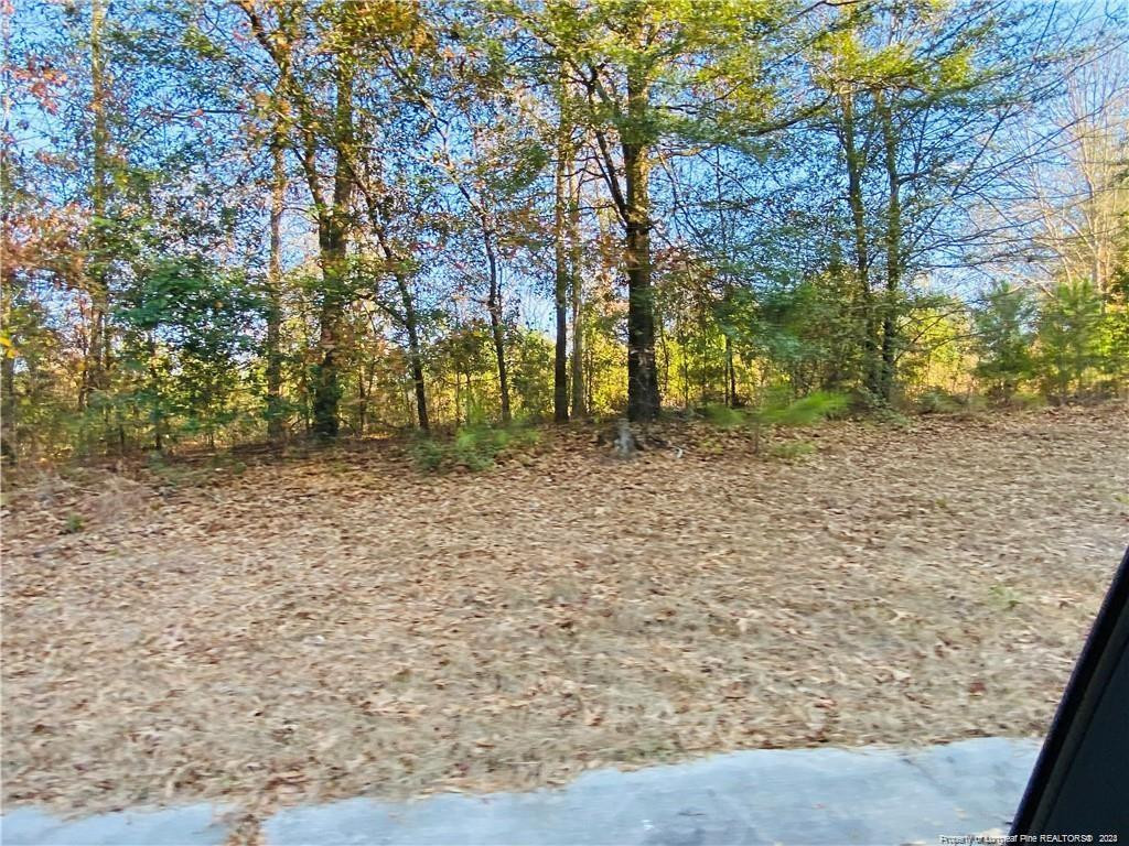 26.5 Acres McIntyre Land, Fayetteville NC 28301