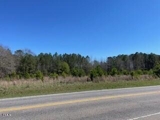 Lot 2 N Nc Hwy 210, Lillington NC 27546