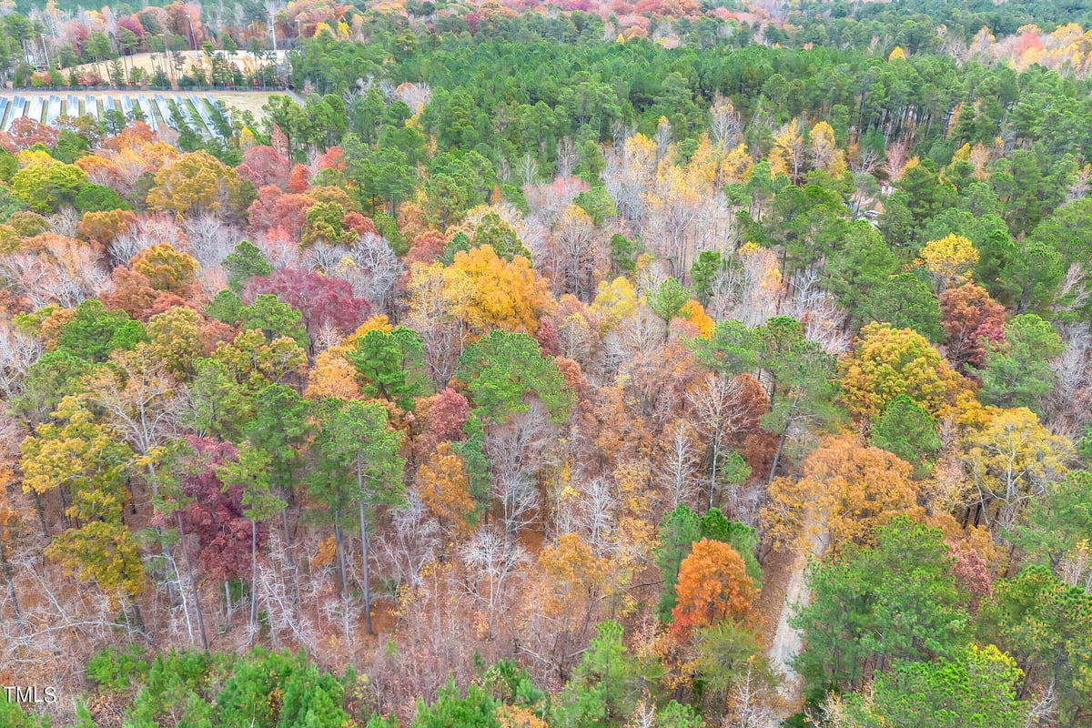 Lot 3 Canopy Lane, Chapel Hill NC 27516