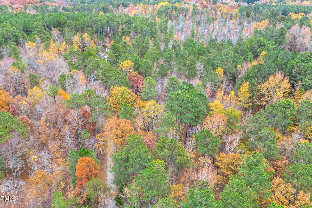 Lot 3 Canopy Lane, Chapel Hill NC 27516