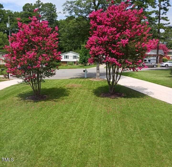 1704 Chestnut Street, Apex NC 27502