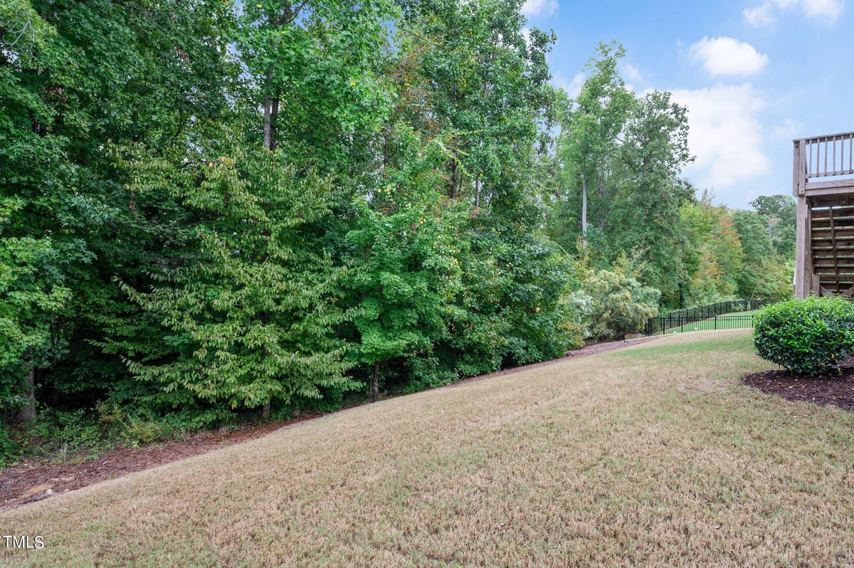 209 Scarlet Tanager Circle, Holly Springs NC 27540