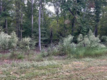 Lot 3c Millbrook Circle, Chapel Hill NC 27516