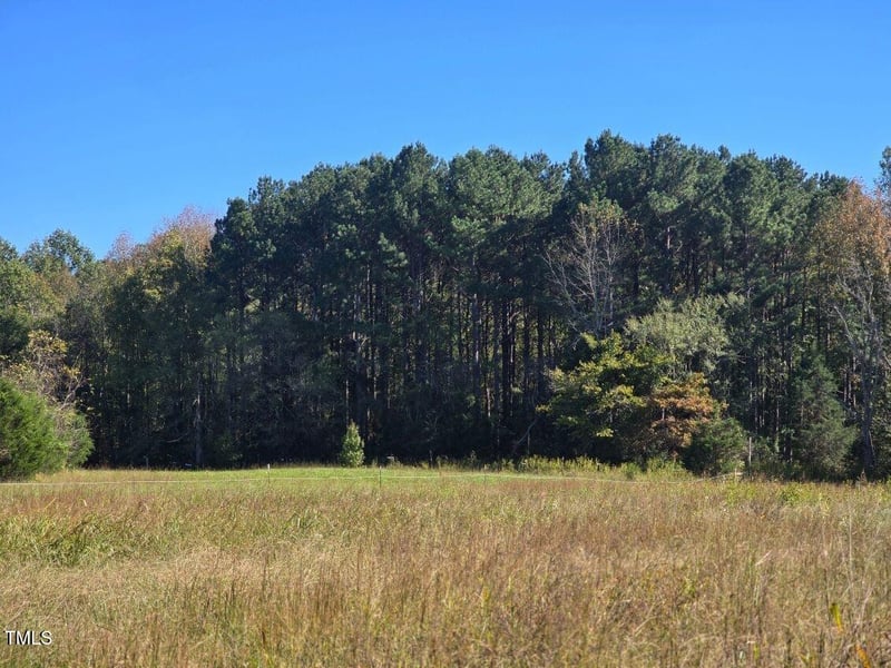 51.3ac Hwy 86, Hillsborough NC 27278