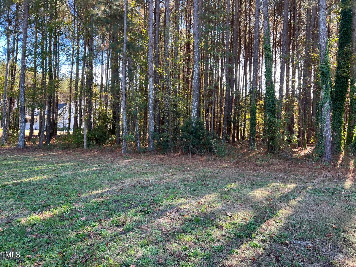 176 Dogeye Road, Benson NC 27504