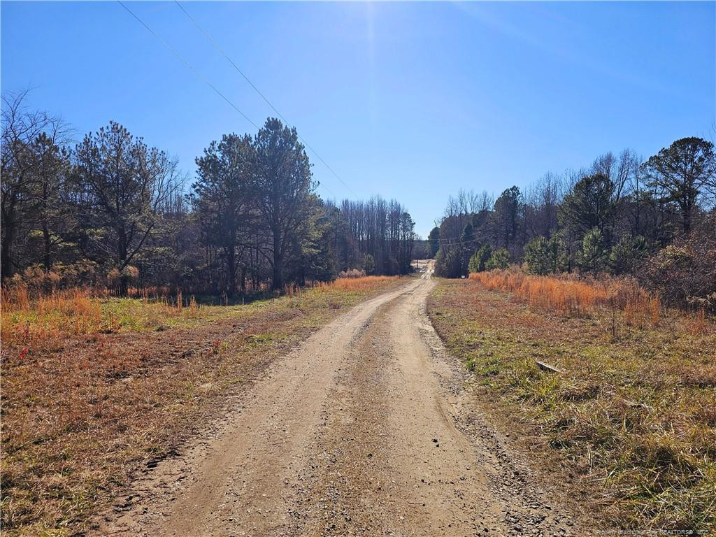 Lot 5 Dragonfly Lane, Sanford NC 27332