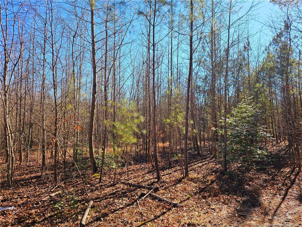 Lot 5 Dragonfly Lane, Sanford NC 27332