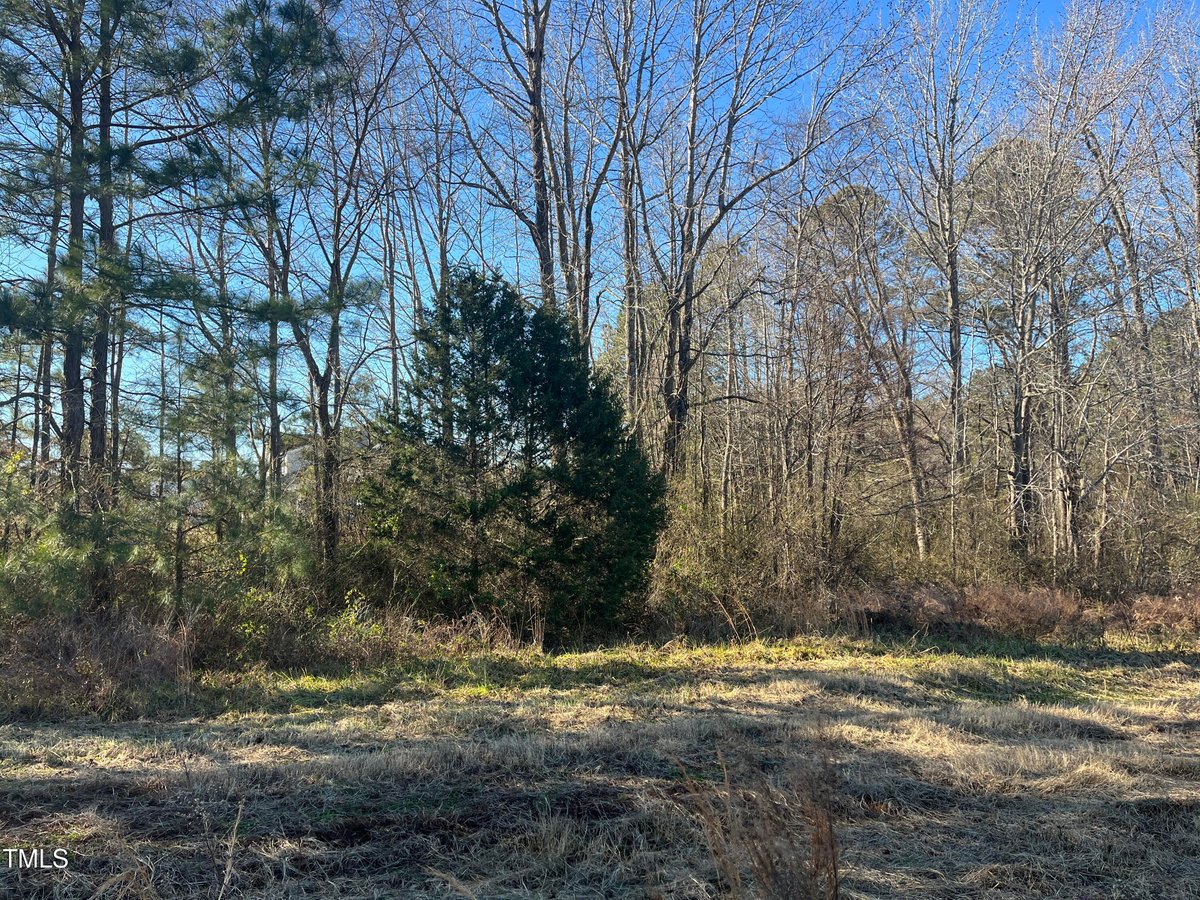 Lot 12 Peach Orchard Road, Louisburg NC 27549