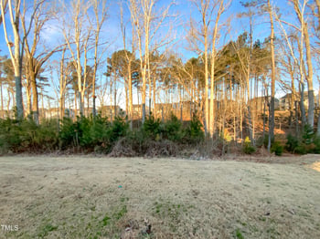 84 Stromness Path, Clayton NC 27527