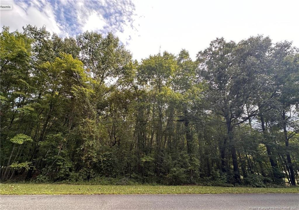 TBD Lot 8 Forestwood Park Road, Sanford NC 27330