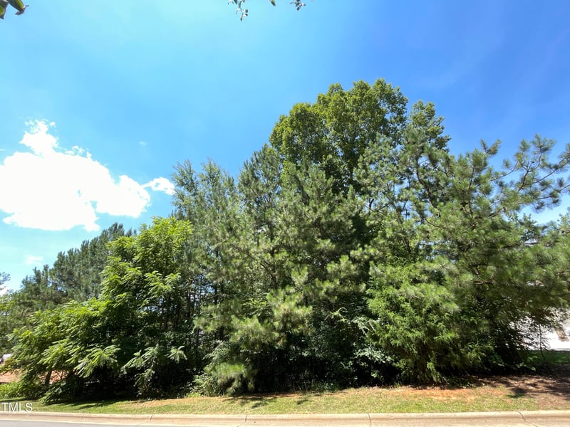 154 Colonial Trail Court, Pittsboro NC 27312