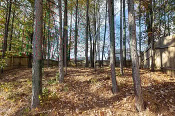 2027 Buffalo Way, Durham, NC 27704