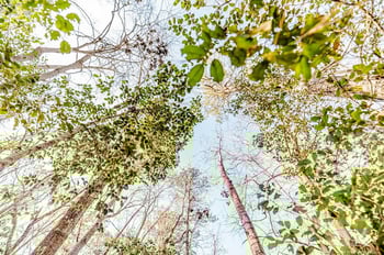 2027 Long Point Trl, Sanford, NC 27332