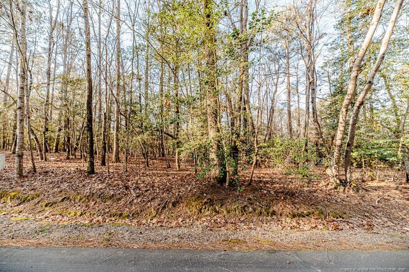 2028 Long Point Trl, Sanford, NC 27332