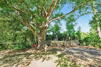 203 Fayetteville St, Micro, NC 27555