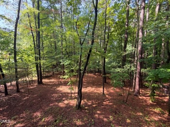 203 Laurie Ln, Cary, NC 27513