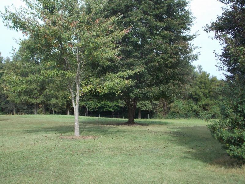 203 Nicks St, Graham, NC 27253