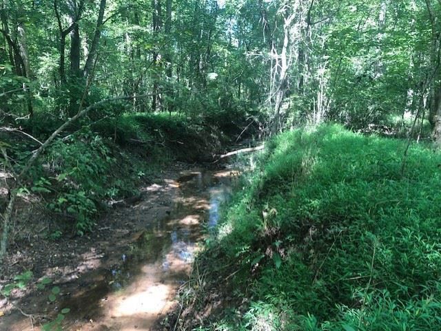 203 Rolling Woods Ct #33, Pittsboro, NC 27312