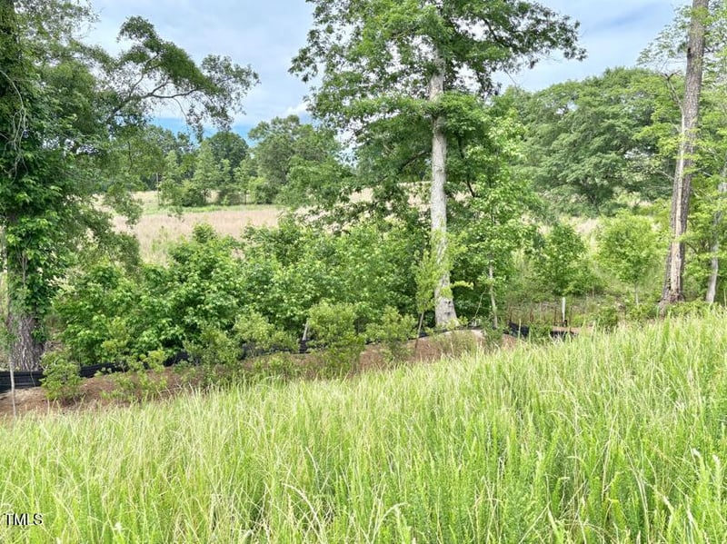 203 Steel Spring Rd, Angier, NC 27501