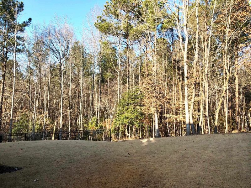 204 Blue Granite Dr, Holly Springs, NC 27540