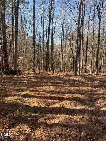 204 Fairhaven St Lot 0669 01, Apex, NC 27539