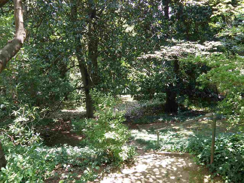 204 Furches St, Raleigh, NC 27607