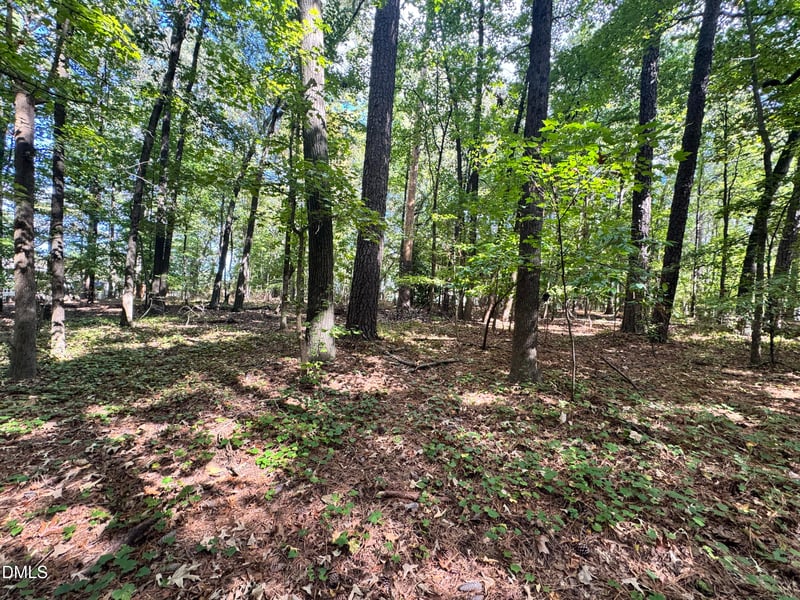 204 Meadow Dr, Cary, NC 27511