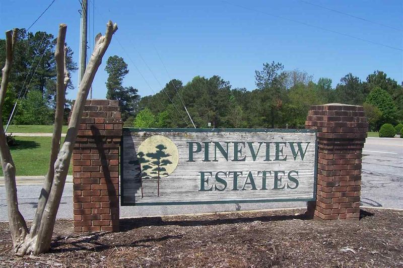 204 Pineview Dr, Zebulon, NC 27597
