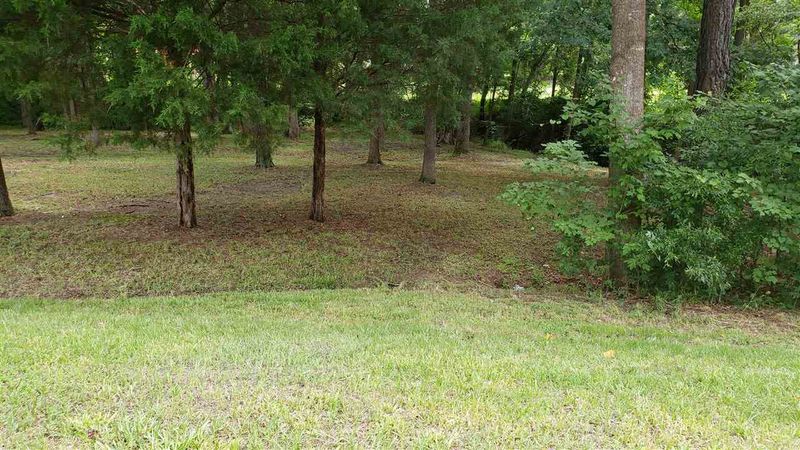 204 N Pointe Dr Lot 20, Louisburg, NC 27549