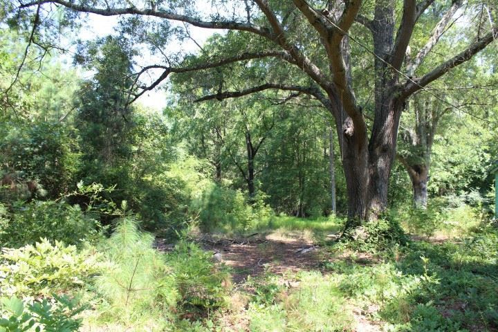 204 Todd St, Durham, NC 27704