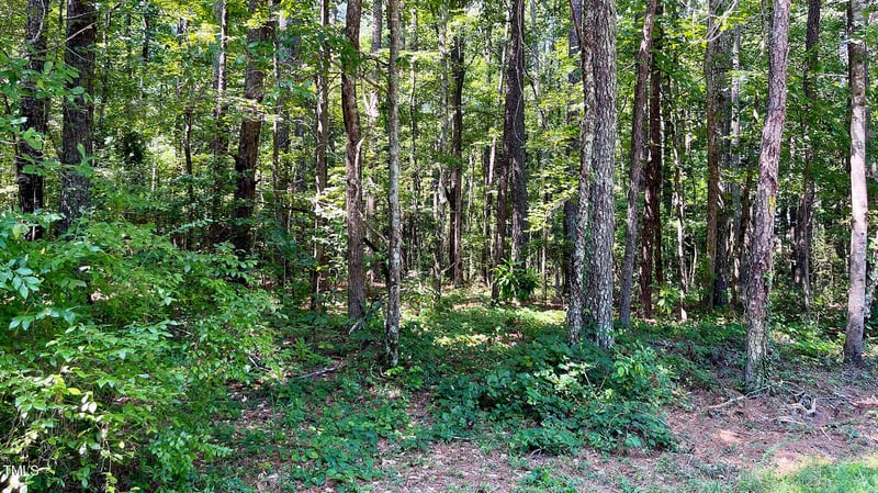 204 Trelawney Ln Lot 18 & 19, Cary, NC 27519