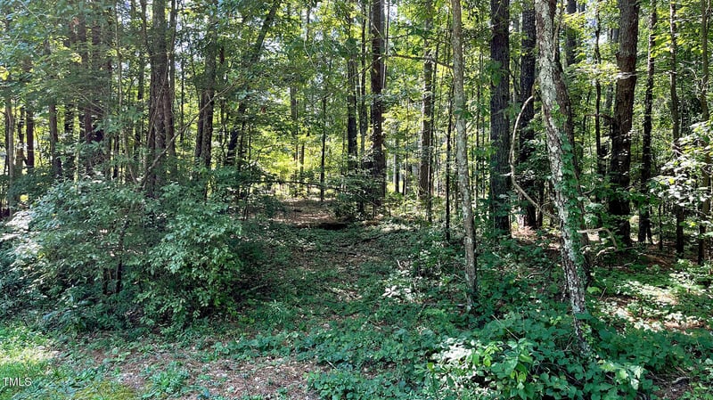 204 Trelawney Ln Lot 18 & 19, Cary, NC 27519