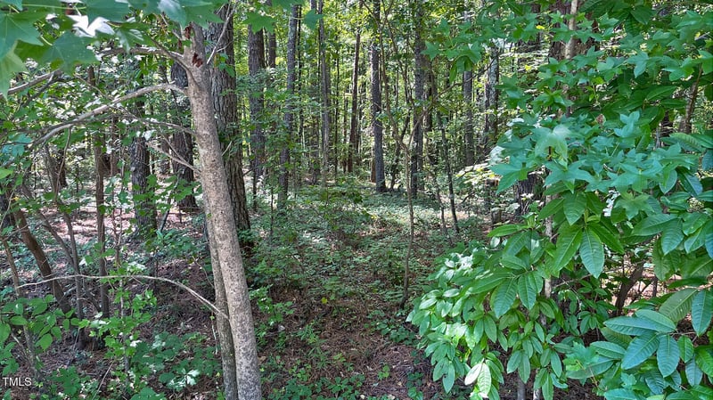204 Trelawney Ln Lot 18 & 19, Cary, NC 27519