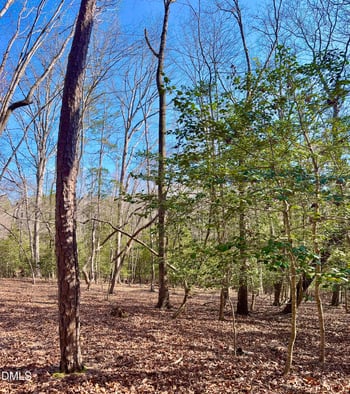 2046 Treetop Cir Lot 2046, Sanford, NC 27332