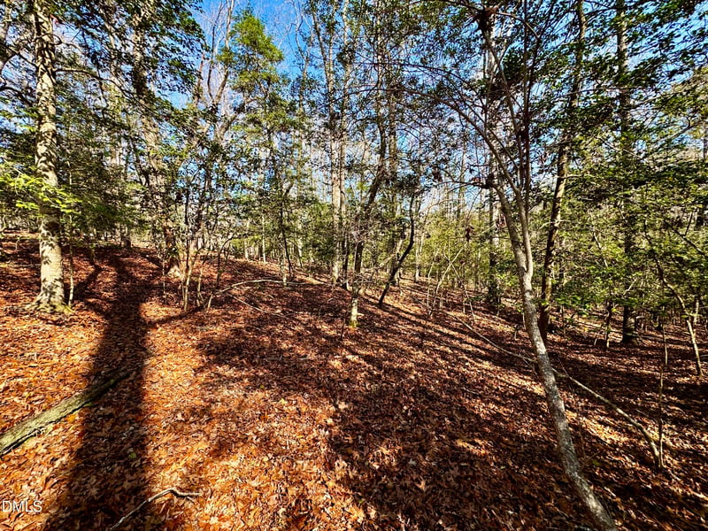 2046 Treetop Cir, Sanford, NC 27332