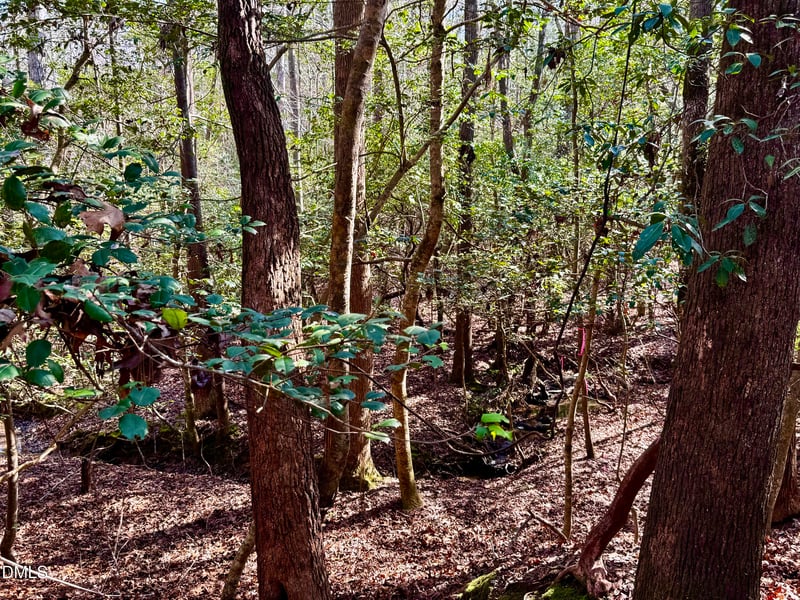 2046 Treetop Cir, Sanford, NC 27332