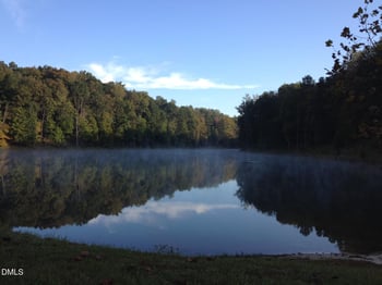 205 Anolis Dr, Pittsboro, NC 27312