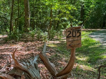 205 Anolis Dr, Pittsboro, NC 27312
