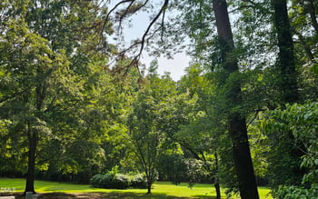 205 Edgewood Dr, Louisburg, NC 27549