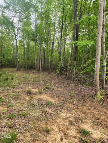 205 Gibson Rd Lot 1, Mebane, NC 27302