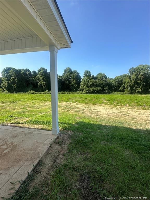 205 Margot Manor Dr, Benson, NC 27504