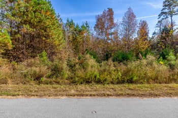 205 Riverine Dr, Pittsboro, NC 27312