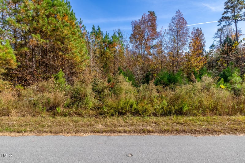 205 Riverine Dr, Pittsboro, NC 27312